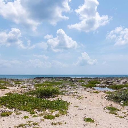 Ground Level Garden Condo At Akumal South By Tao Santamar Zewnętrze zdjęcie