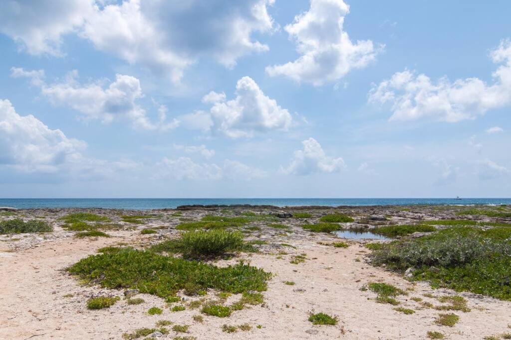 Ground Level Garden Condo At Akumal South By Tao Santamar Zewnętrze zdjęcie