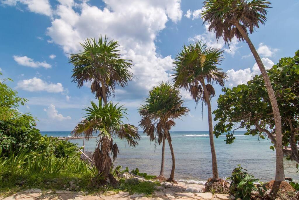 Ground Level Garden Condo At Akumal South By Tao Santamar Zewnętrze zdjęcie