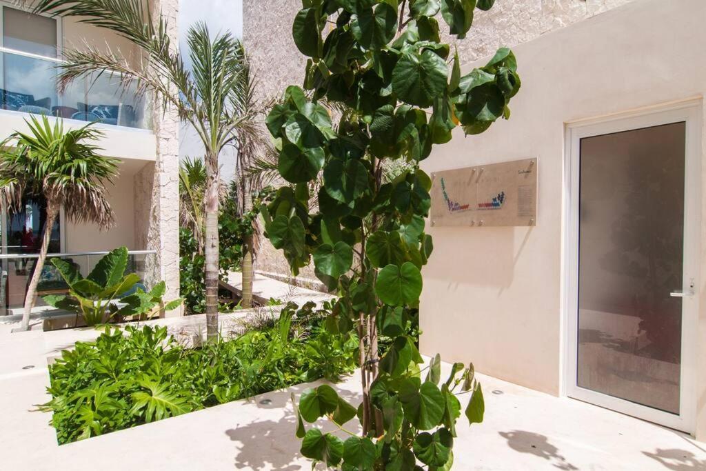 Ground Level Garden Condo At Akumal South By Tao Santamar Zewnętrze zdjęcie